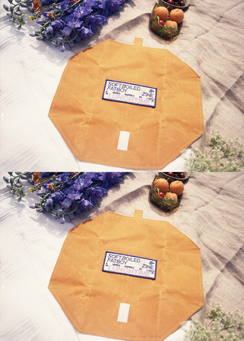 Soft Boiled X FatBoy Zine